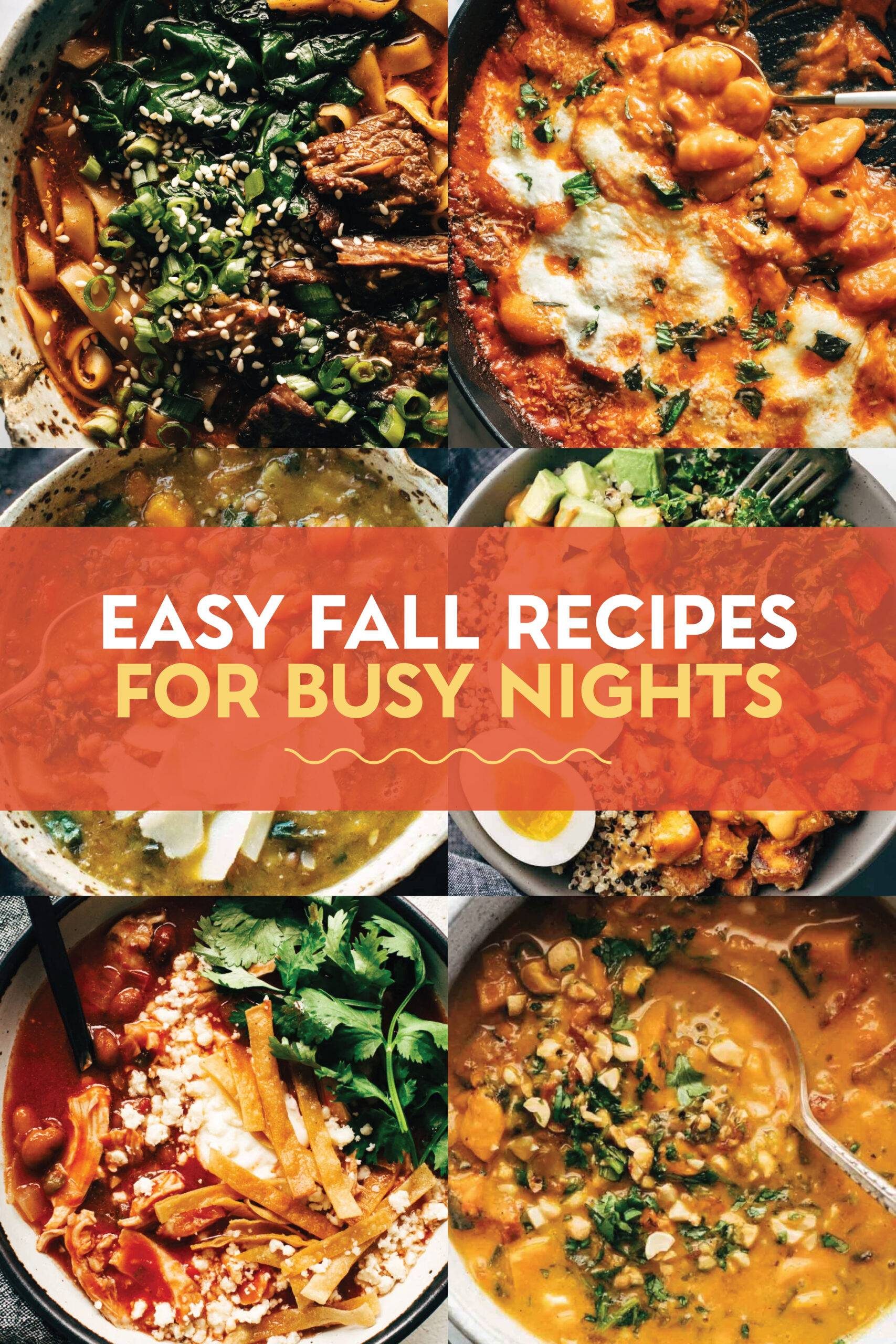 Delicious and Nutritious: 5 Quick Healthy Recipes for Busy Weeknights